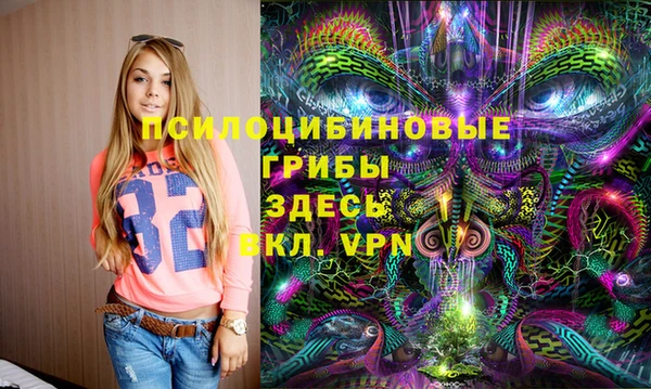 тгк Богданович