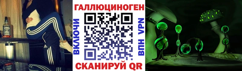 Псилоцибиновые грибы Psilocybe  где найти   Выборг 